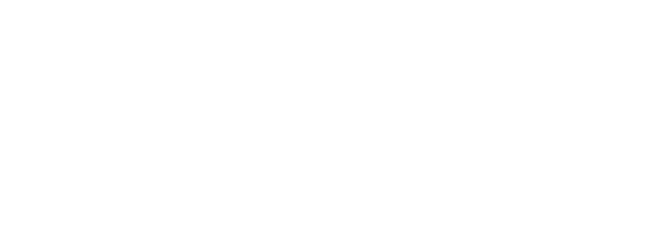 GuidiCar - GuidiCar Logo
